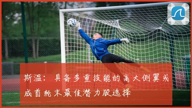斯温：具备多重技能的高大侧翼或成首轮末最佳潜力股选择